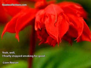 liam_neeson_quotes Quotes 2